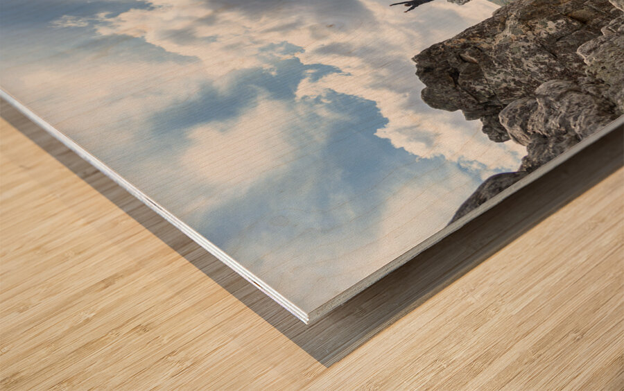 Climber on top of Seneca Rocks Wood print