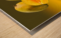 Two mangoes and one cut mango reflecting Impression sur bois