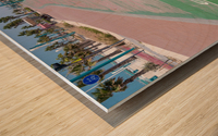 Rubber surface of running track alongside Dubai beach Impression sur bois