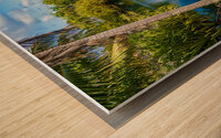 Gorgeous lagoon and lake in the Na Aina Kai sculpture garden Impression sur bois