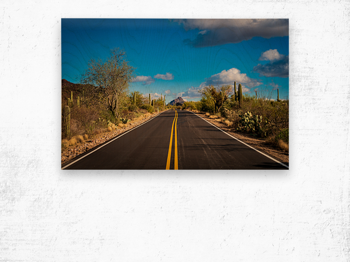 Road and cactus in Saguaro National Park Wood print