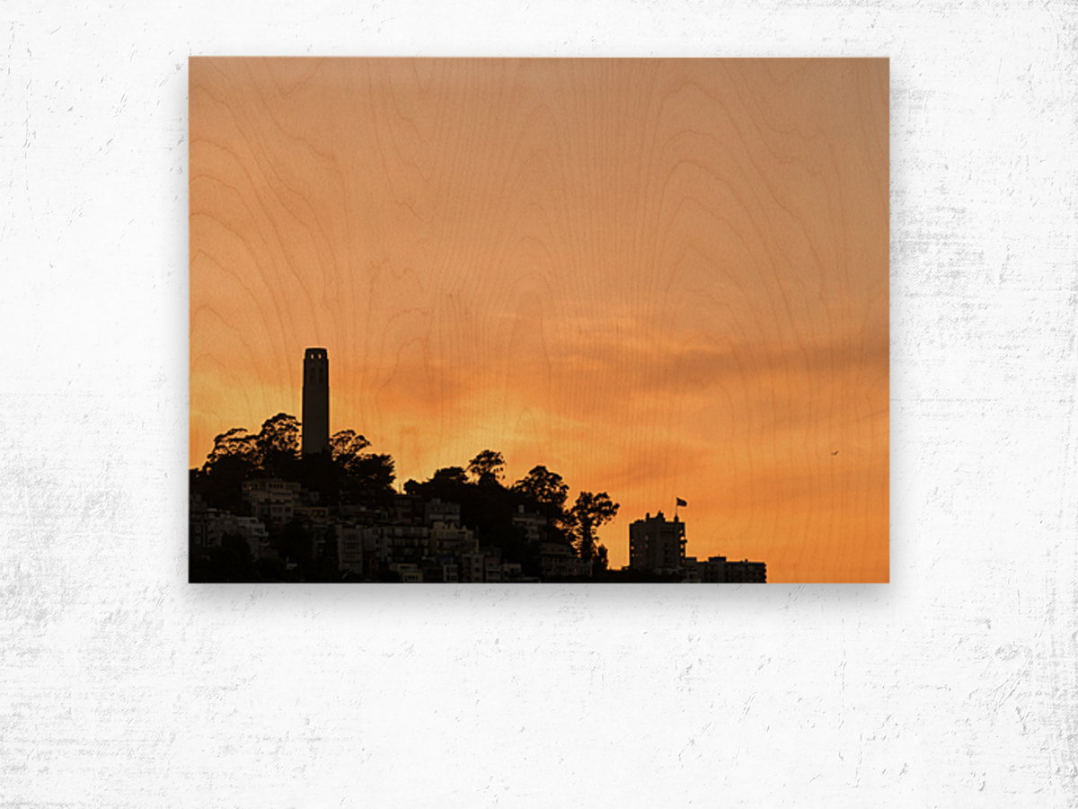 Coit tower at sunset in San Francisco Wood print
