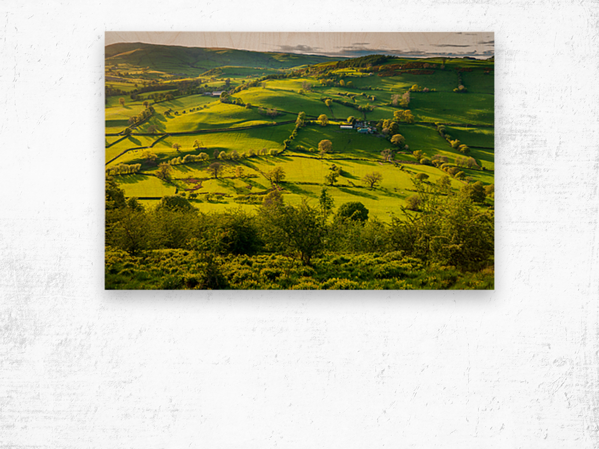 Typical english or welsh farming country Wood print