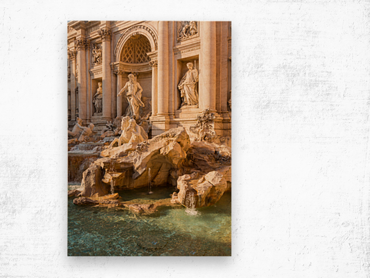 Trevi fountain details in Rome Italy Wood print