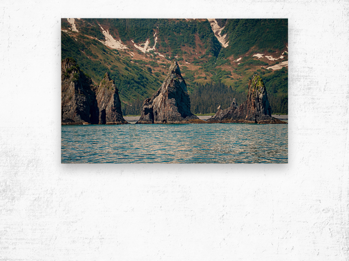 Rocky outcrops in the bay at Seward in Alaska Wood print