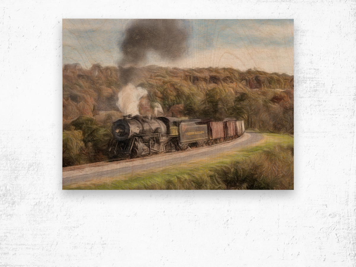 WMSR Steam train powers along railway Wood print