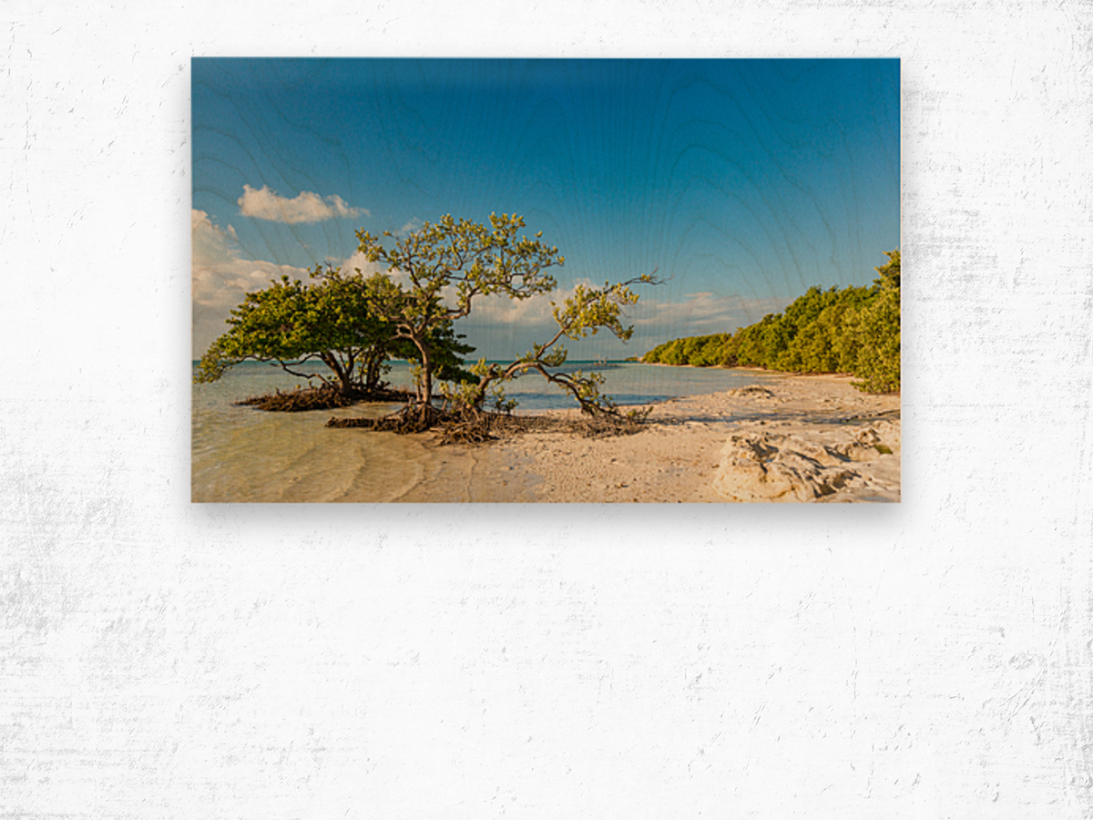 Florida Keys Annes Beach Wood print