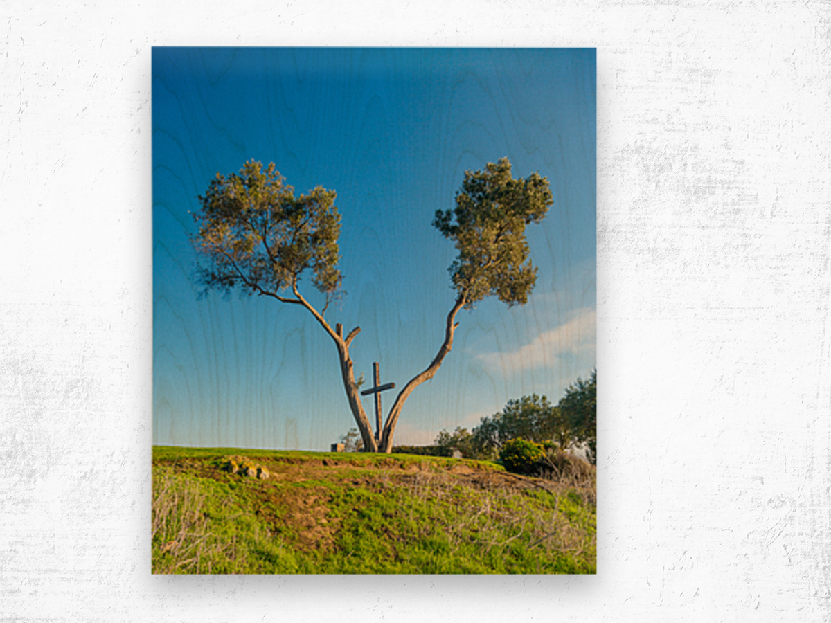 Serra Cross in Ventura California between trees Wood print